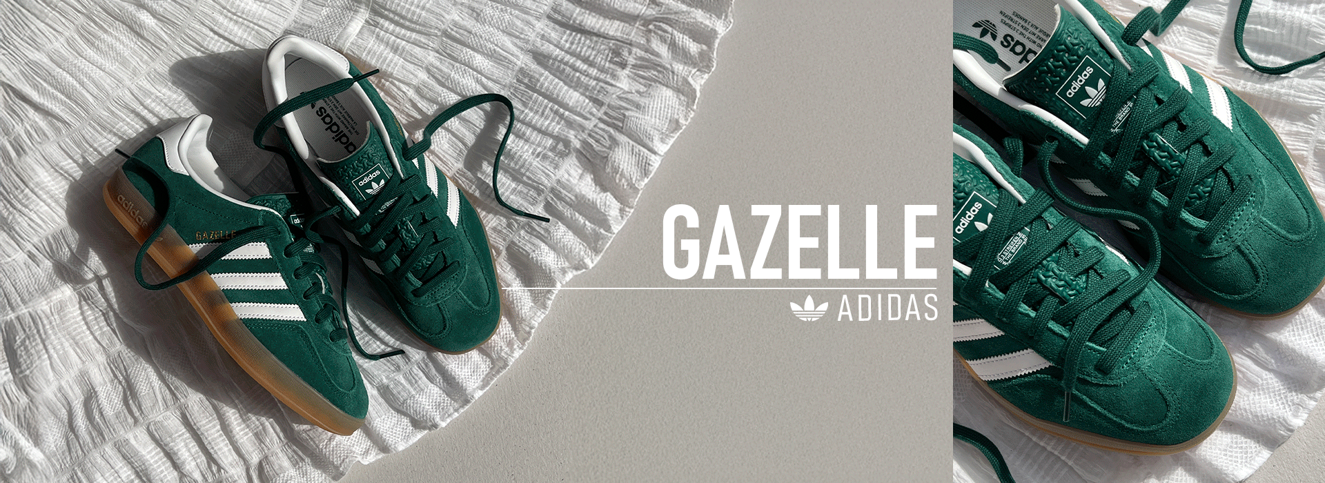 Gazelle
