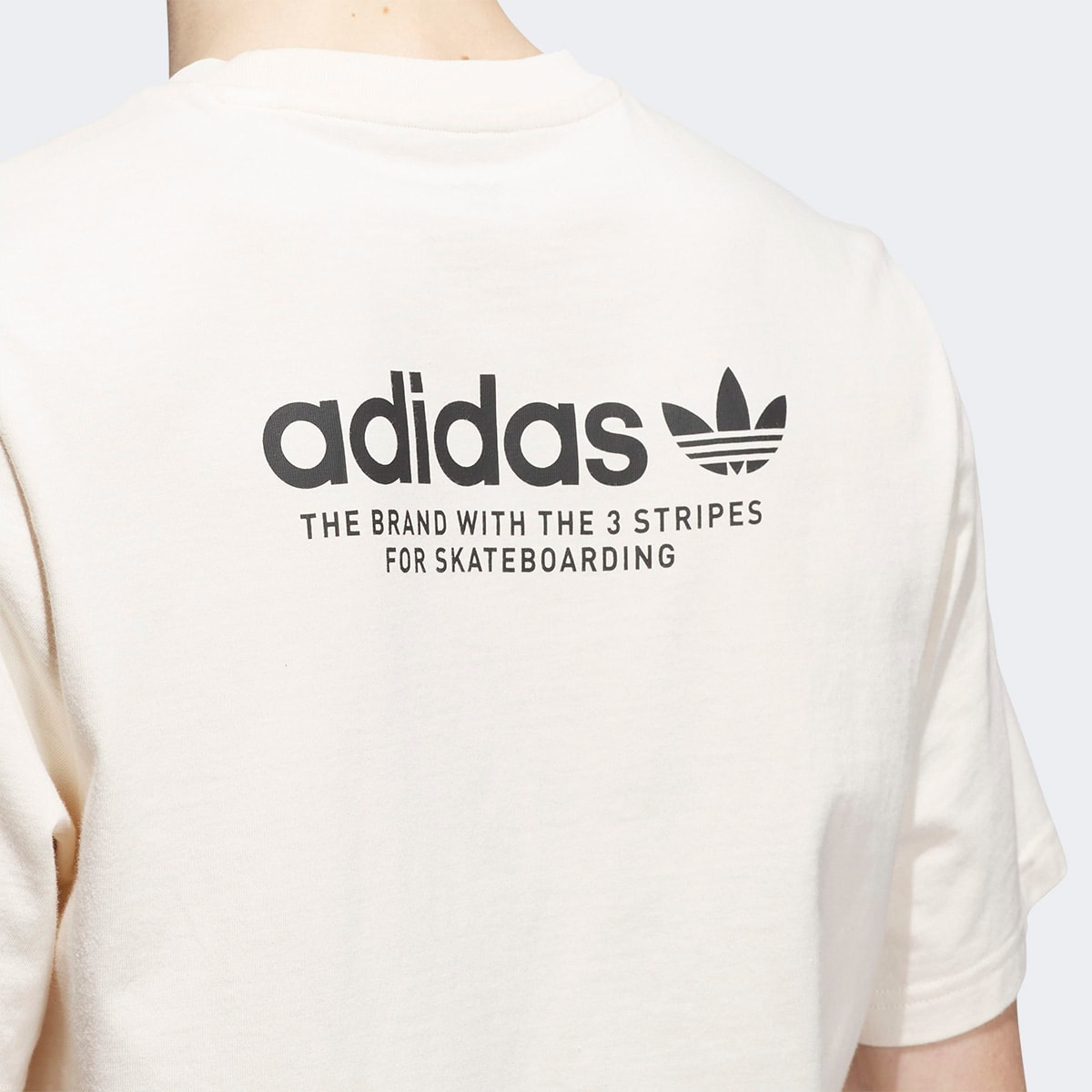 image_32486336-8e77-40d5-85c3-d327cb463f2a