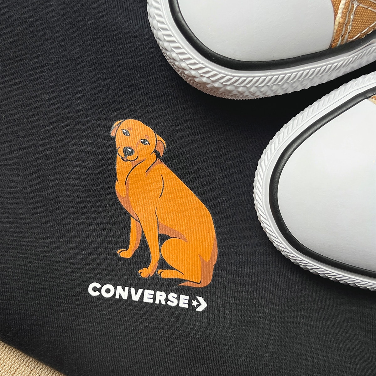 image_8f36e69f-307b-47a6-89e4-f3235827ad63