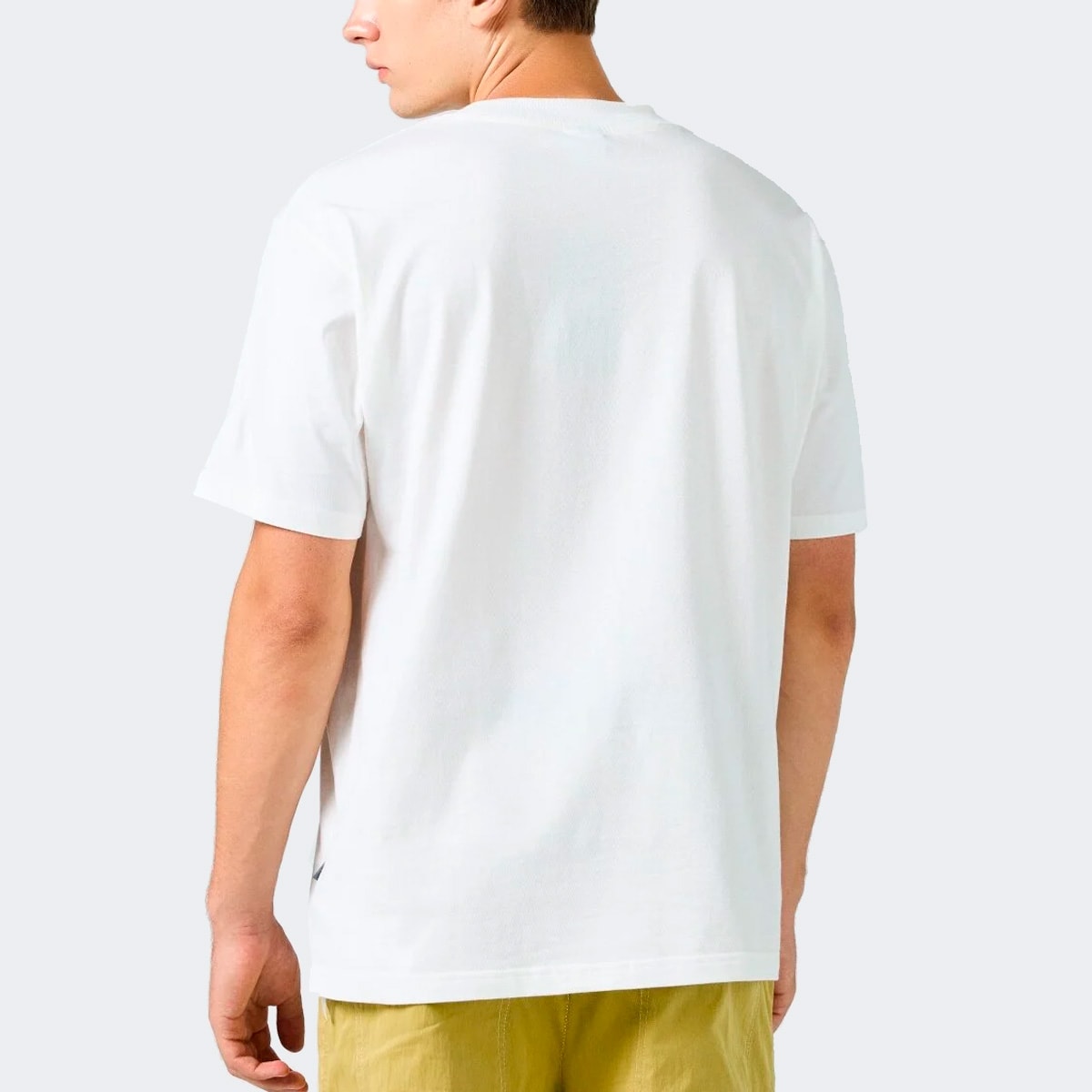 image_08c8528c-c71e-4de2-8ccc-cf6edb70a05c