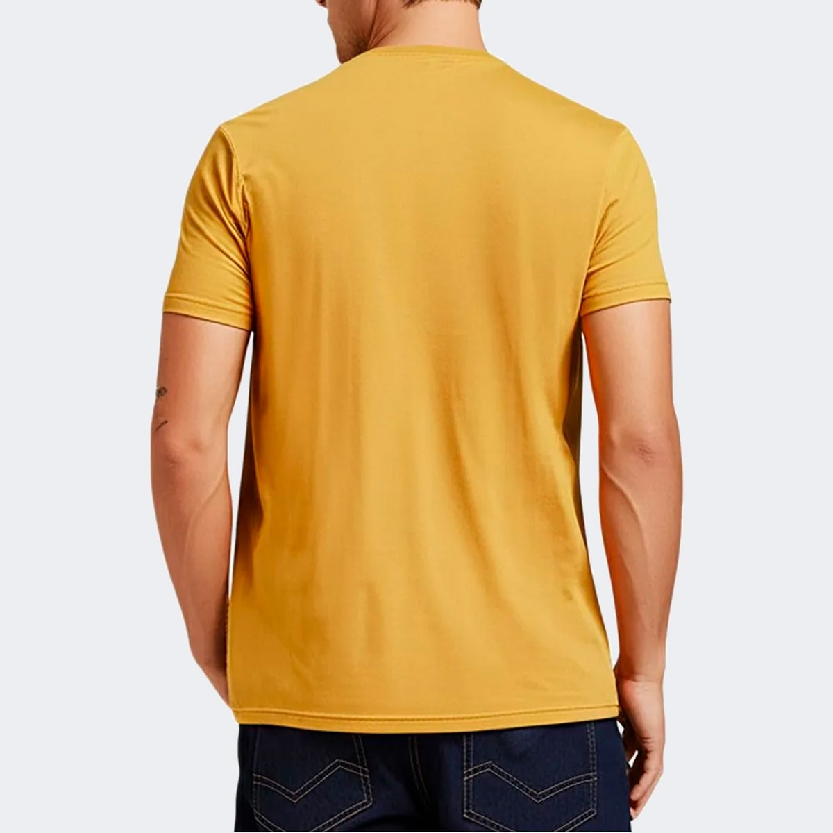 image_b34d7151-4efc-4dcf-ac37-4063d9d07d2b