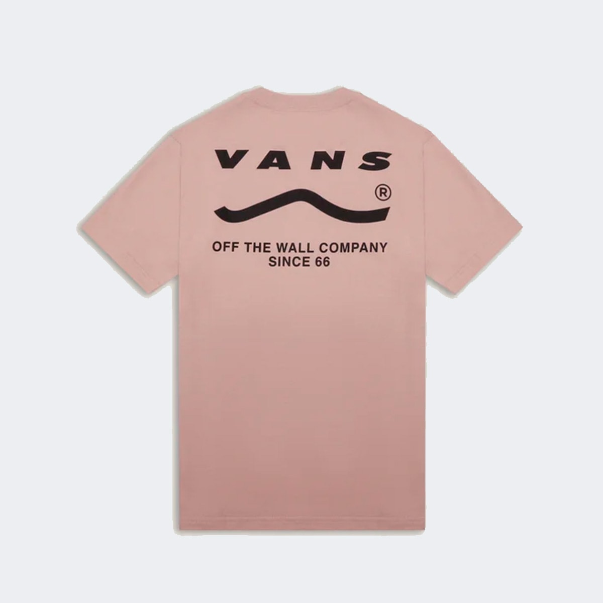 image_9ce21f4d-ec38-492e-a9fc-a8f7973d95f9