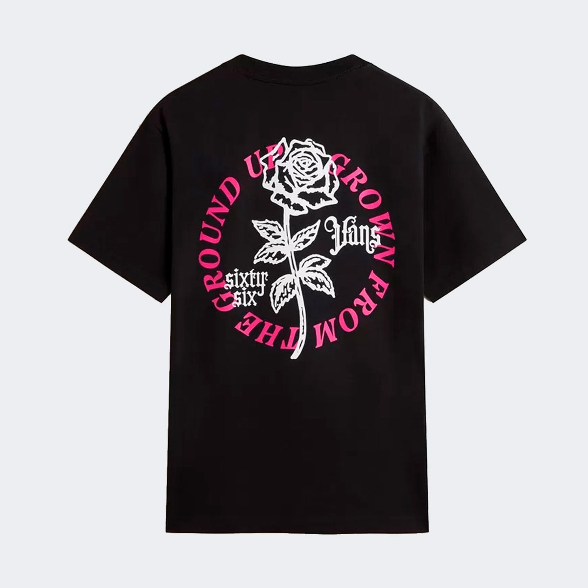 image_d7bacfcc-0e53-4358-82bc-42dd09ea0ffb