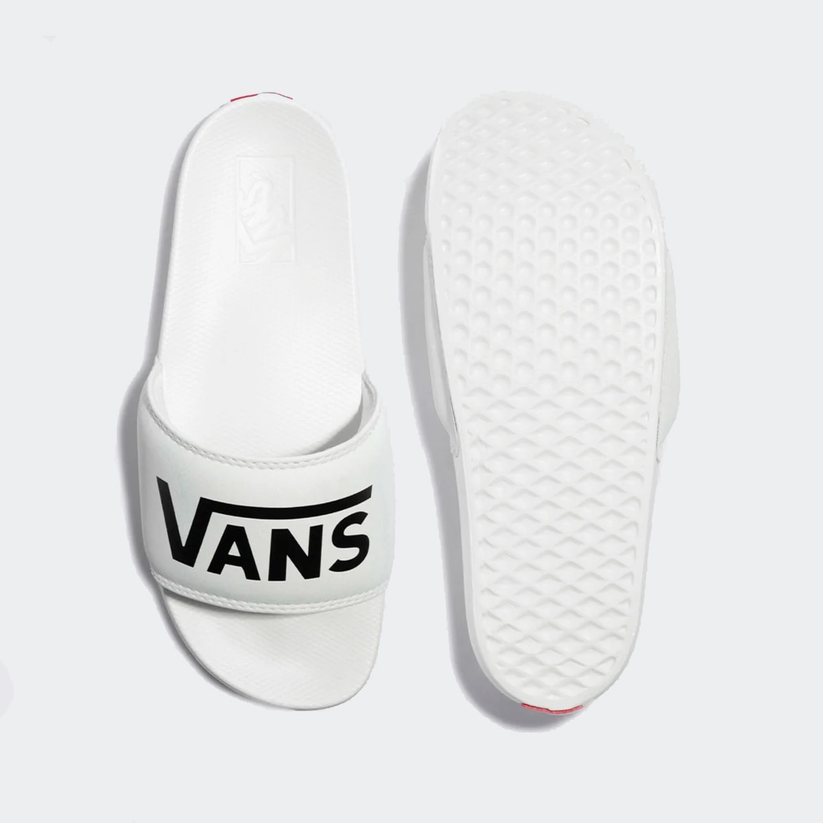 image_238e61e6-4e18-494c-97d0-4fff7f544c19