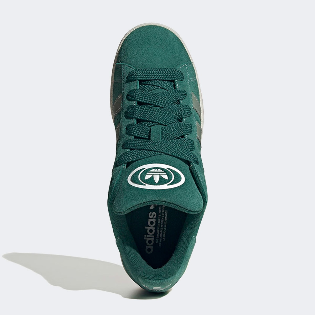 image_e2ff24d6-a60a-4b91-9e03-6173faedadcb