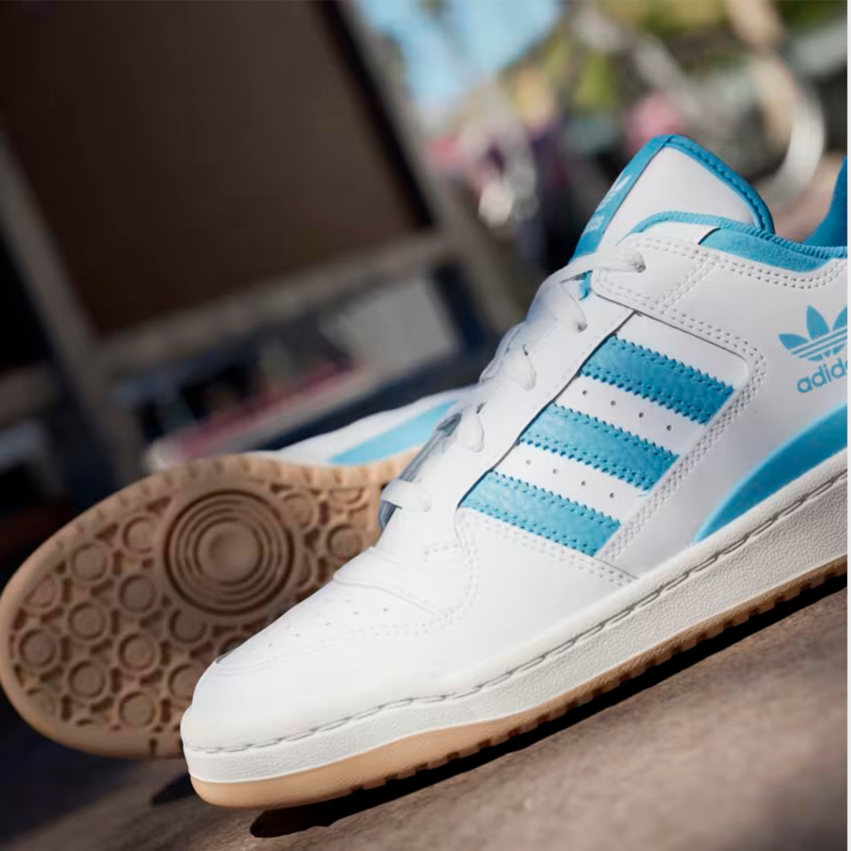 image_3aa4d3e5-6ea7-4069-8852-8fd281d5a291