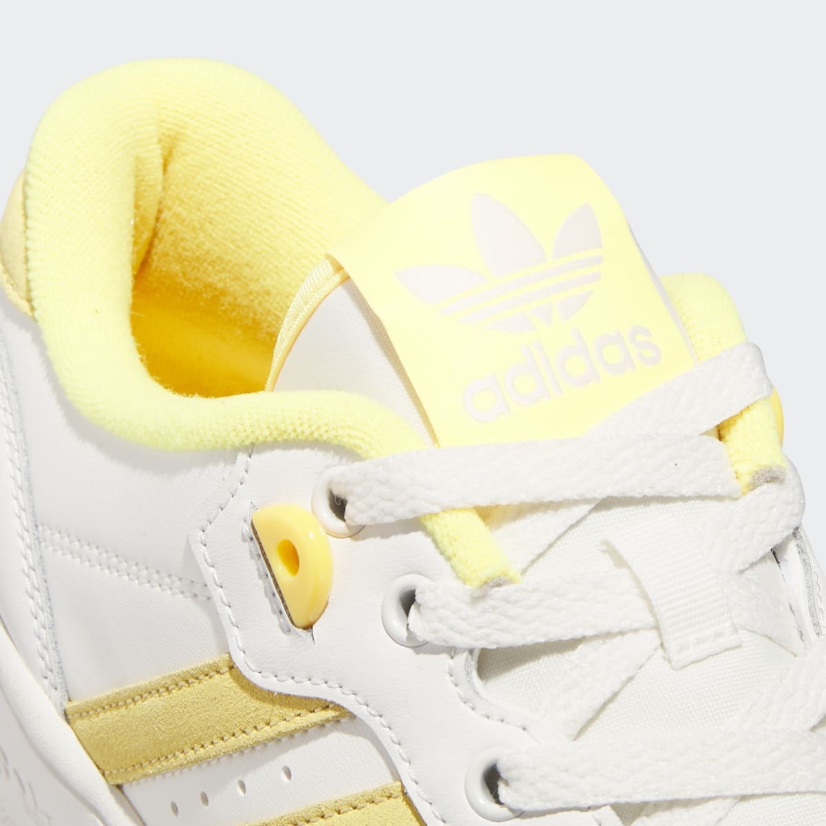 image_4b7e6069-d7d2-4c79-b536-24aeb4750a25