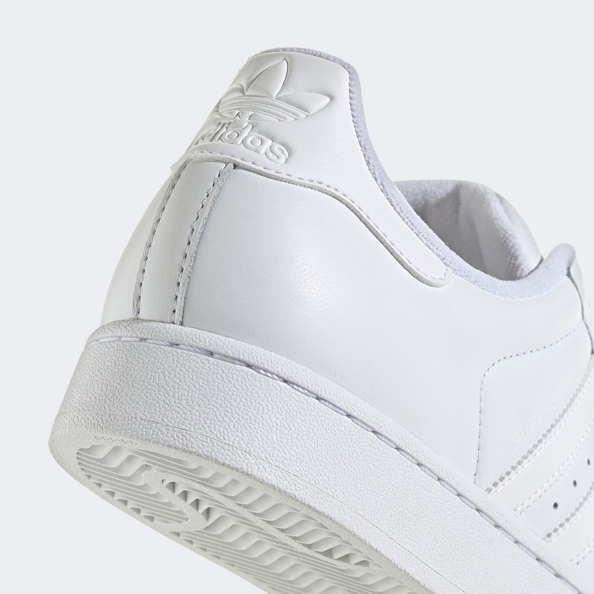 image_495caa2e-01ec-4693-b2ae-2043b6c65e1b