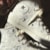 Tênis Converse Chuck 70 Eternal Sunshine Amendoa Amendoa Hi CT33250002 Tênis Converse Chuck 70 Eternal Sunshine Amendoa Amendoa Hi CT33250002