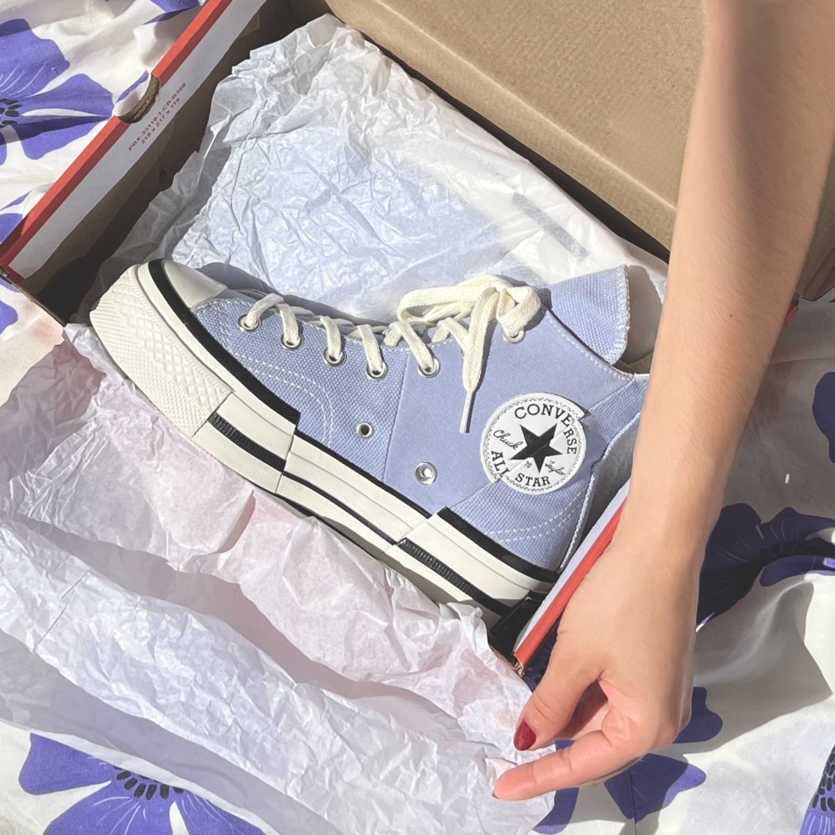 image_244acd95-0dd9-45af-9dcb-4cbaa25a2ccd