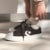 Tênis Converse Star Player 76 Fresh Brew A13608c
