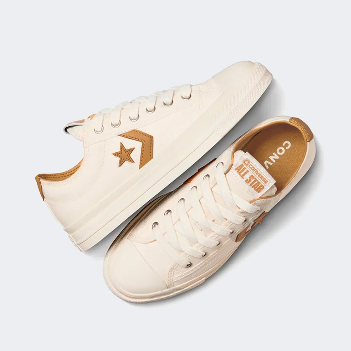 image_e9102285-9606-40b2-9e7f-3ace30fe4813