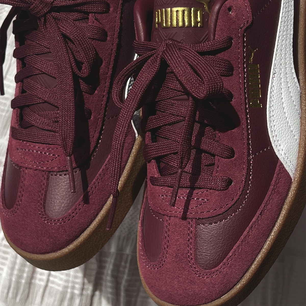 image_d4d2c243-6860-4d2f-ad71-f7ecd6c57398