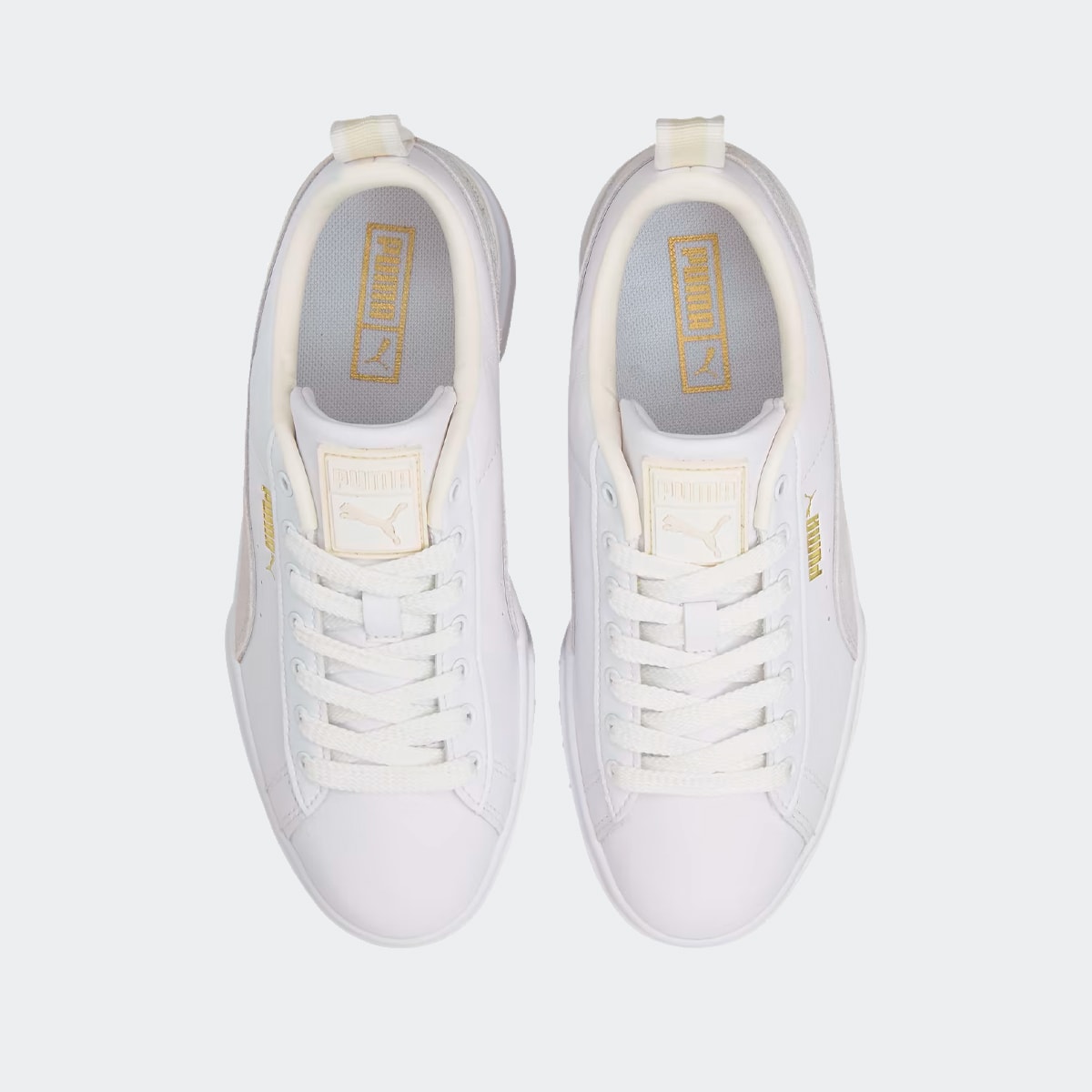 image_313c27fa-ba6e-4bcb-a0a6-c91fb82cbdb4