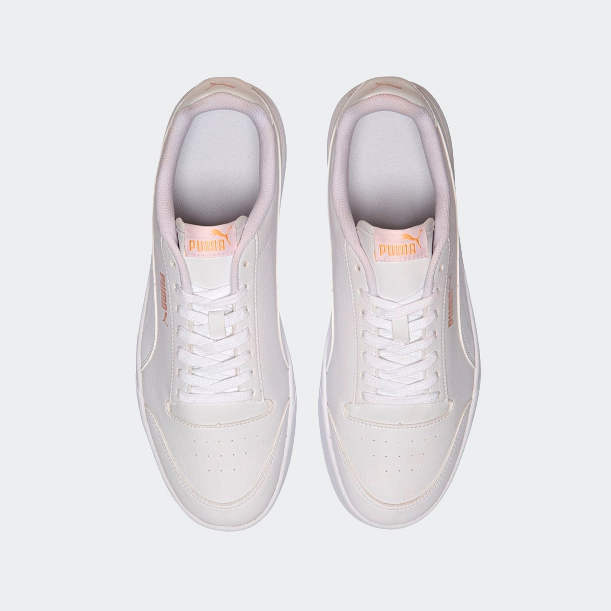 image_add298f7-e1c2-4287-b7e1-3ee128422afb